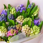 Букет из 25 разноцветных гиацинтов в оригинальной упаковке в Санкт-Петербурге - Фотография 5