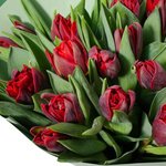 Букет из 21 красного пионовидного тюльпана в упаковке в Санкт-Петербурге  - Фотография 2
