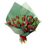 Букет из 31 красного пионовидного тюльпана в упаковке в Санкт-Петербурге  - Фотография 1