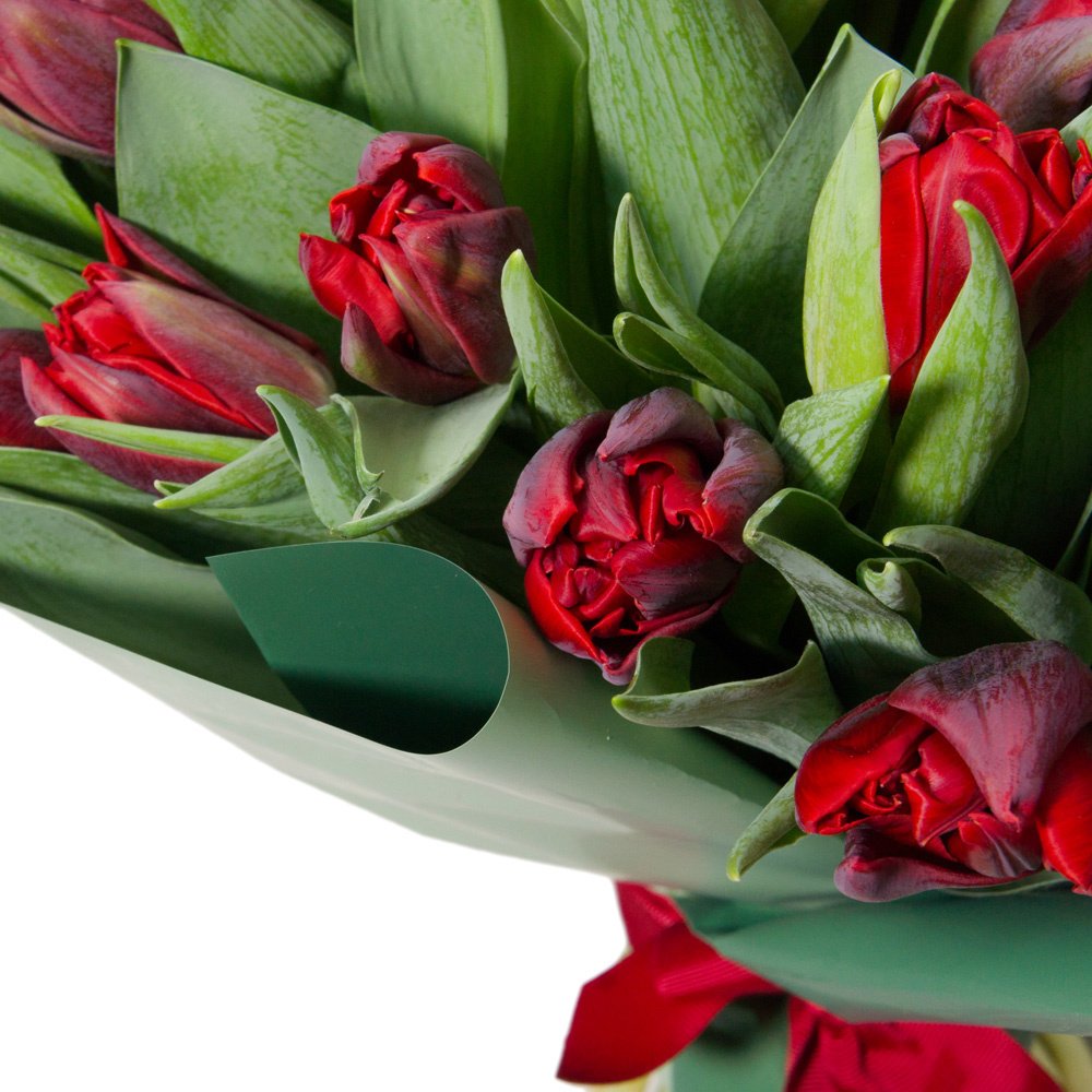 31 красный пионовидный тюльпан в упаковке