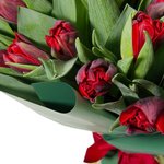 Букет из 31 красного пионовидного тюльпана в упаковке в Санкт-Петербурге  - Фотография 2