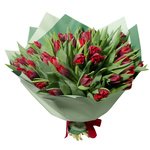 Букет из 51 красного пионовидного тюльпана в упаковке в Санкт-Петербурге  - Фотография 1