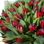Букет из 51 красного пионовидного тюльпана в упаковке в Санкт-Петербурге  - Фотография 2