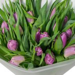 Букет из 25 сиреневых пионовидных тюльпанов в упаковке в Санкт-Петербурге - Фотография 2