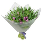 Букет из 31 сиреневого пионовидного тюльпана в упаковке в Санкт-Петербурге - Фотография 1 Букет из 31 сиреневого пионовидного тюльпана в упаковке в Санкт-Петербурге - Фотография 1