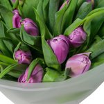 Букет из 31 сиреневого пионовидного тюльпана в упаковке в Санкт-Петербурге - Фотография 2 Букет из 31 сиреневого пионовидного тюльпана в упаковке в Санкт-Петербурге - Фотография 2