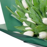 Букет из 51 белого тюльпана в упаковке в Санкт-Петербурге  - Фотография 2