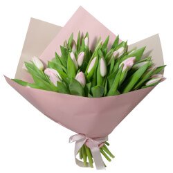 Букет «31 розовый тюльпан в упаковке» Букет «31 розовый тюльпан в упаковке»