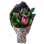 Мужской букет с протеей в крафте с принтом в Санкт-Петербурге - Фотография 1