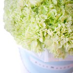 Мятные гвоздики в шляпной коробке в Санкт-Петербурге - Фотография 5