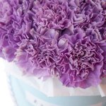 Лунные гвоздики в шляпной коробке в Санкт-Петербурге - Фотография 2