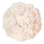 Кремовые гвоздики в шляпной коробке в Санкт-Петербурге - Фотография 2