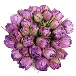 Сиреневые пионовидные тюльпаны в шляпной коробке в Санкт-Петербурге - Фотография 4