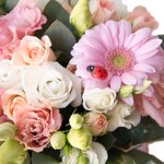 Уютная нежно-розовая композиция в кашпо ручной работы в Санкт-Петербурге - Фотография 4