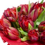 Красные пионовидные тюльпаны в шляпной коробке в Санкт-Петербурге - Фотография 4