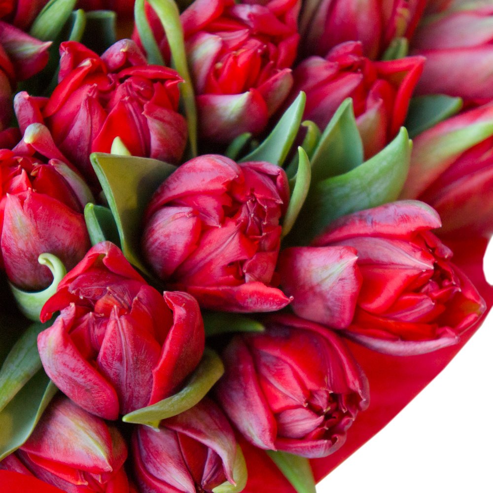 Рори: большой букет красных пионовидных тюльпанов в шляпной коробке