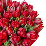 Красные пионовидные тюльпаны в шляпной коробке в Санкт-Петербурге - Фотография 3