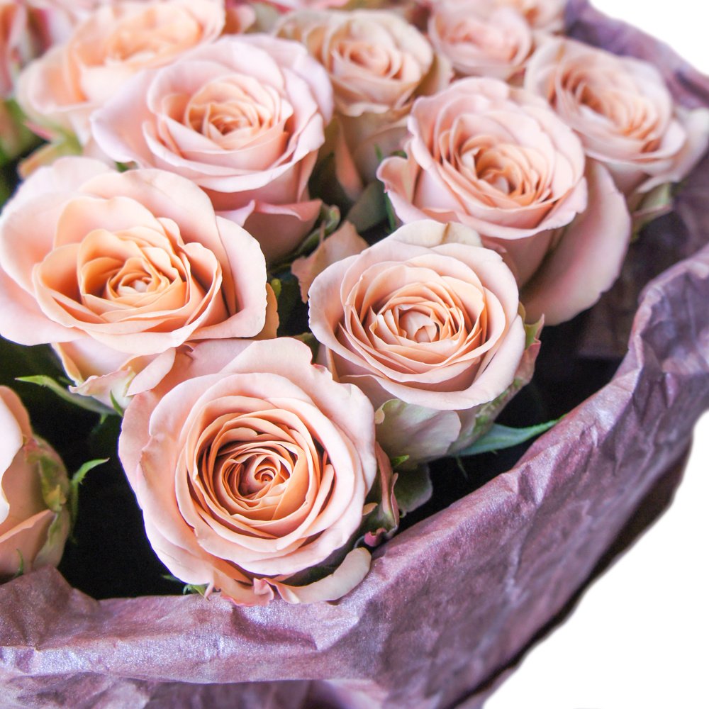 25 роз Капучино в упаковке