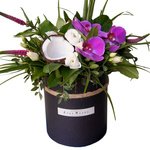 Композиция в шляпной коробке с кокосом и орхидеями в Санкт-Петербурге - Фотография 1