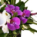 Композиция в шляпной коробке с кокосом и орхидеями в Санкт-Петербурге - Фотография 5