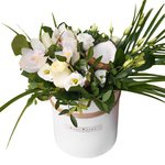 Композиция в шляпной коробке с кокосом и орхидеями в Санкт-Петербурге - Фотография 1