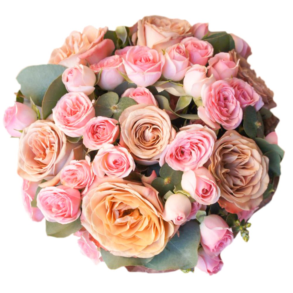 Малиновый раф