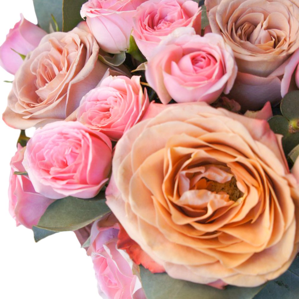 Малиновый раф