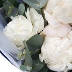 Купить пионы с эвкалиптом в яркой упаковке в Санкт-Петербурге - Фотография 4 Купить пионы с эвкалиптом в яркой упаковке в Санкт-Петербурге - Фотография 4