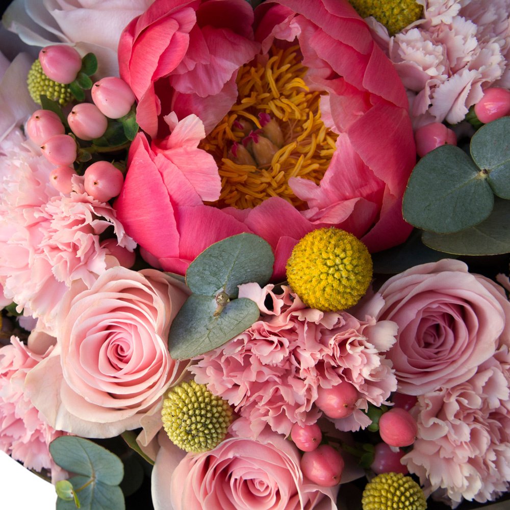 Пси: коралловый пион и розовые розы в чёрном крафте