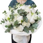 Шикарный белоснежный букет из пионов, фрезии, матиолы и гвоздики в Санкт-Петербурге  - Фотография 1