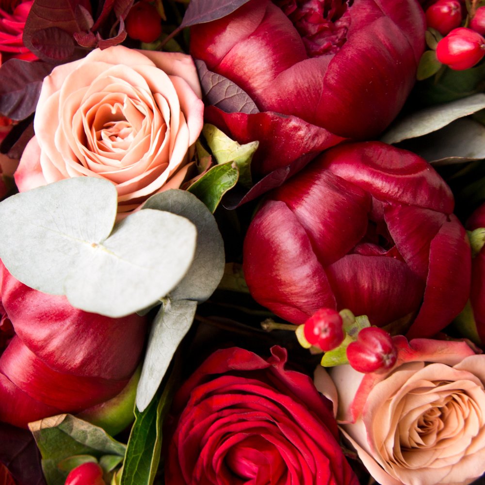 Капучино и вино