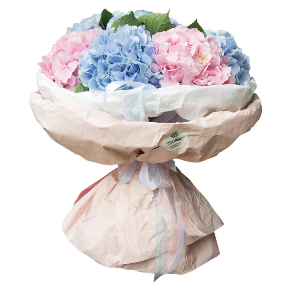 Гортензии в упаковке