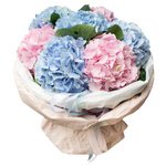 Букет из розовых и голубых гортензий в упаковке в Санкт-Петербурге - Фотография 1