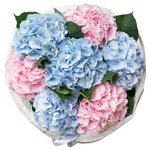 Букет из розовых и голубых гортензий в упаковке в Санкт-Петербурге - Фотография 3