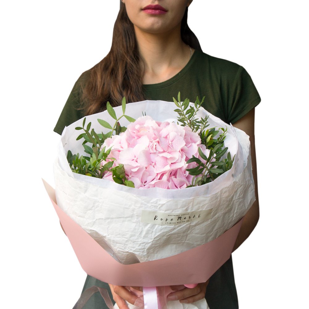 Розовая гортензия в упаковке