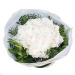 Белая гортензия в упаковке в Санкт-Петербурге - Фотография 2