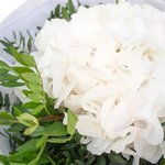 Белая гортензия в упаковке в Санкт-Петербурге - Фотография 3
