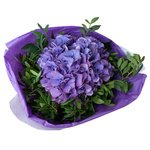 Фиолетовая гортензия в упаковке в Санкт-Петербурге - Фотография 5