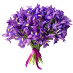 Букет из 51 синего ириса в Санкт-Петербурге - Фотография 1