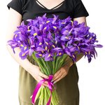 Букет из 51 синего ириса в Санкт-Петербурге - Фотография 4