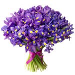 Букет из 101 синего ириса в Санкт-Петербурге - Фотография 2