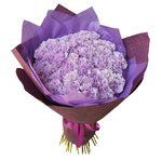 51 лунная гвоздика в упаковке в Санкт-Петербурге  - Фотография 1