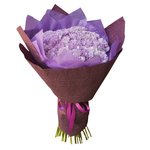 51 лунная гвоздика в упаковке в Санкт-Петербурге  - Фотография 2