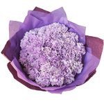 51 лунная гвоздика в упаковке в Санкт-Петербурге  - Фотография 3