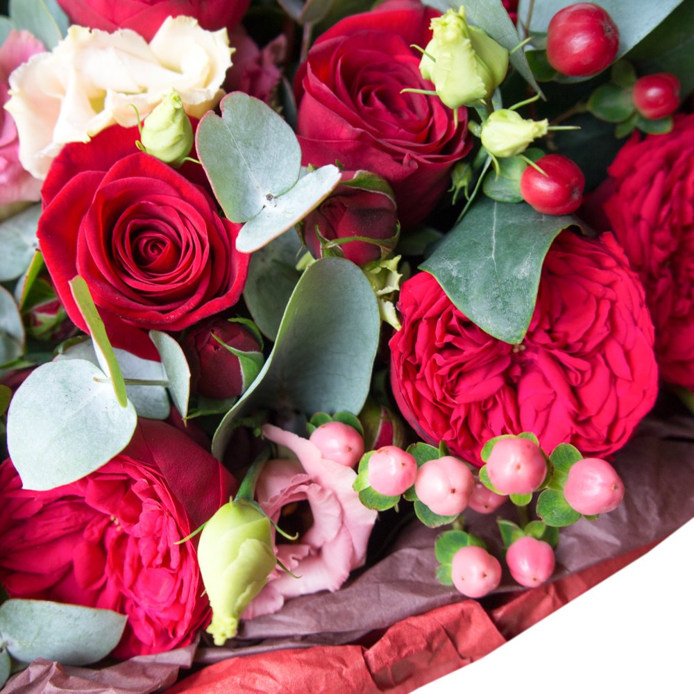 Ванесса Паради