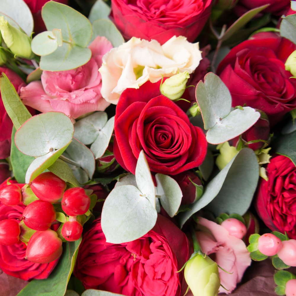 Ванесса Паради