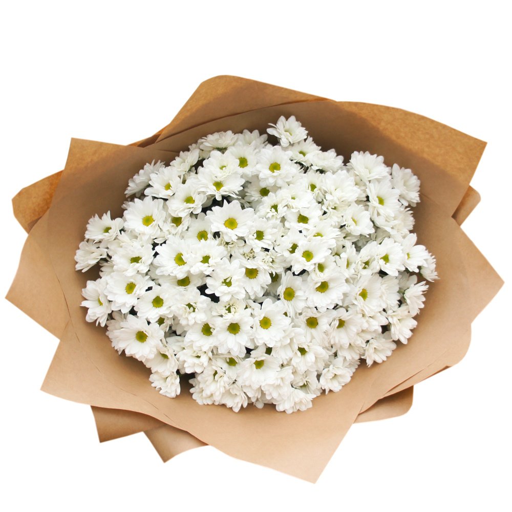 Букет хризантем в упаковке для любимой мамы с аквабоксом и коробкой-переноской