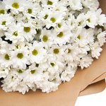 Букет белая кустовая хризантема в Санкт-Петербурге - Фотография 5