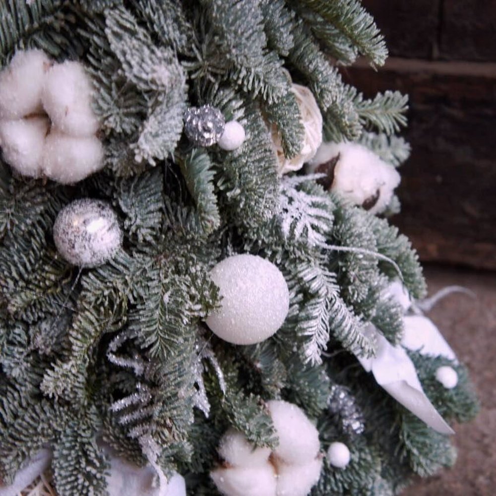 Ёлочка белая