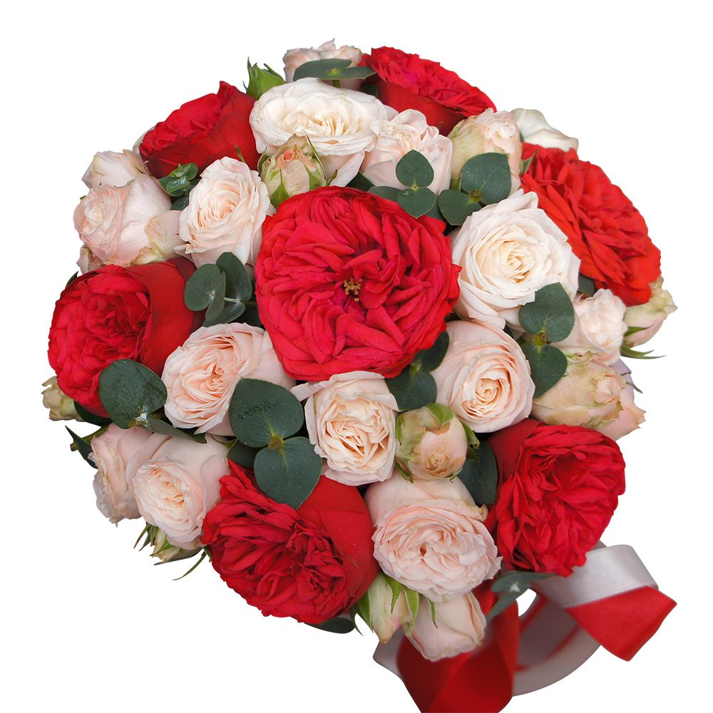 Мишель Мерсье